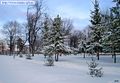 Природа - Зимушка-зима